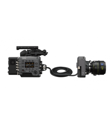 SONY RIALTO VENICE EXTENSION
