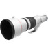 CANON PHOTO 600MM F/4 (RF)